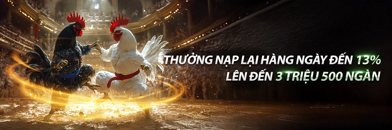 Sân vận động đầy ắp với ánh đèn rực rỡ, biểu tượng cho cá cược thể thao đỉnh cao tại Vuabet88